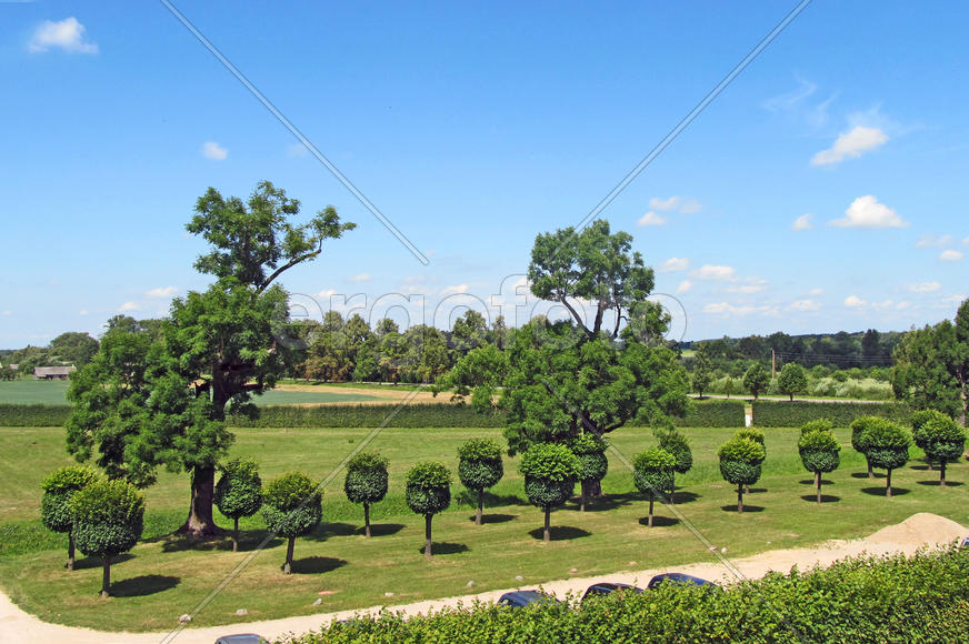 Парк Рундальского дворца, вид из окна дирекции