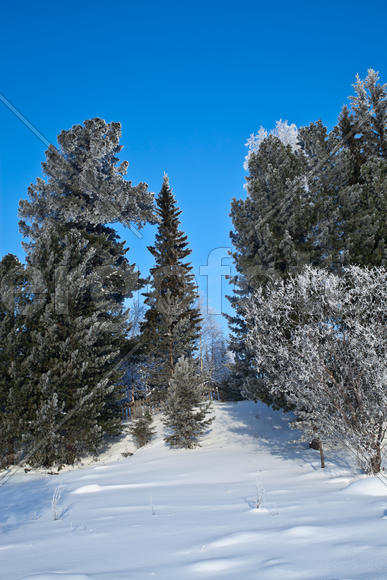 Зимний пейзаж