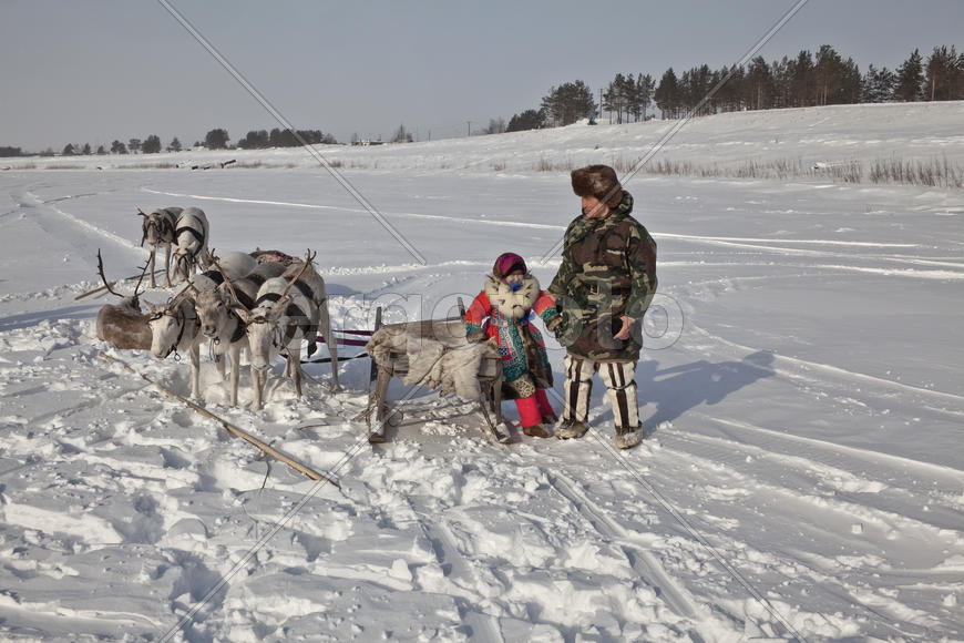 Мужчина с девочкой возле оленьей упряжки