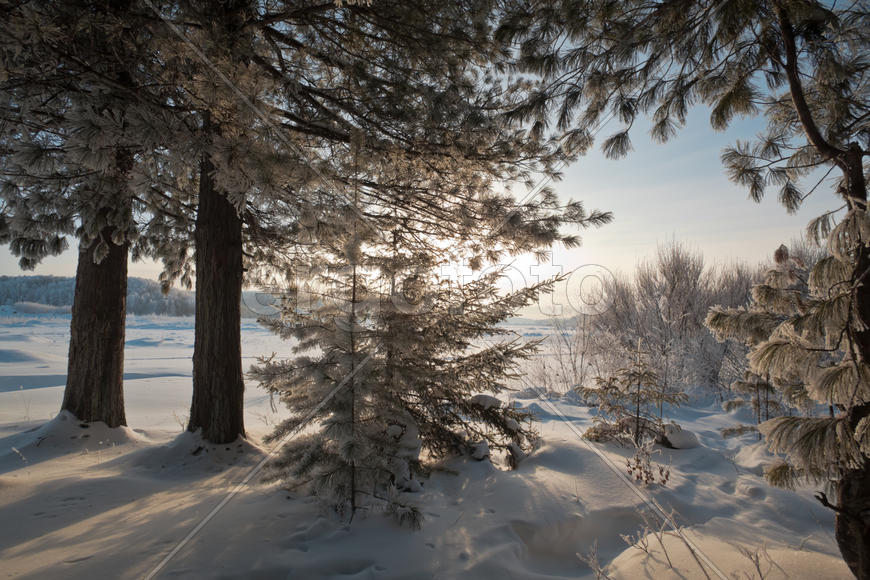 Зимнее утро