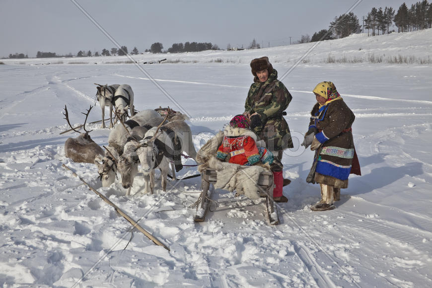 Хантыйская семья возле оленьей упряжки