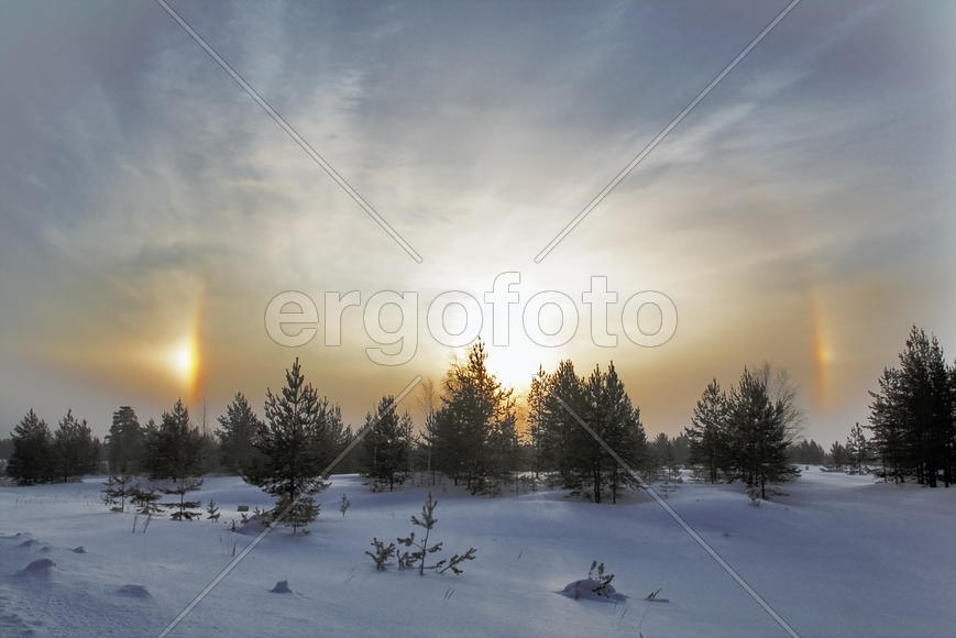 Зимнее чудо