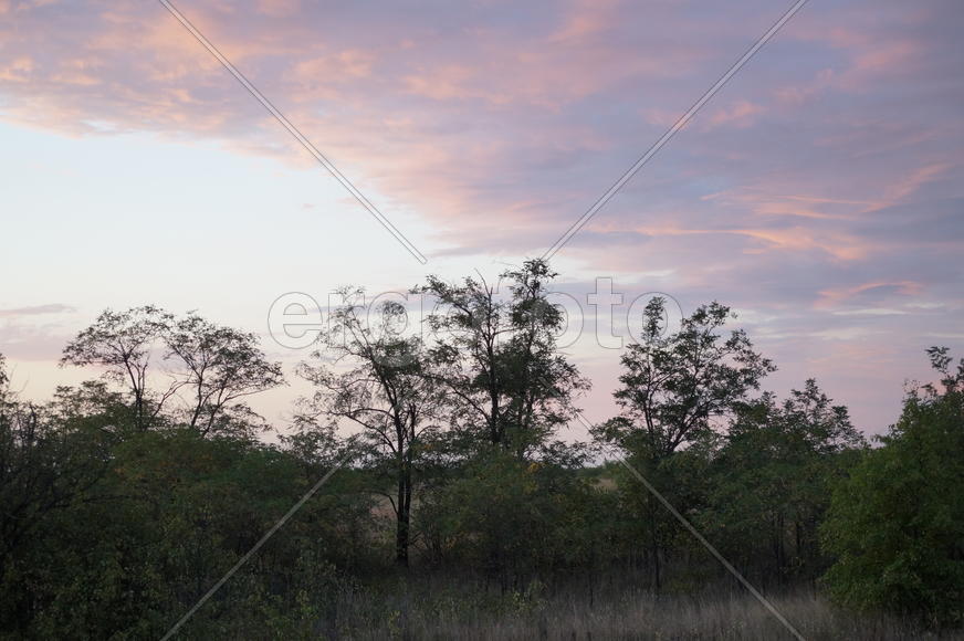 Краски неба