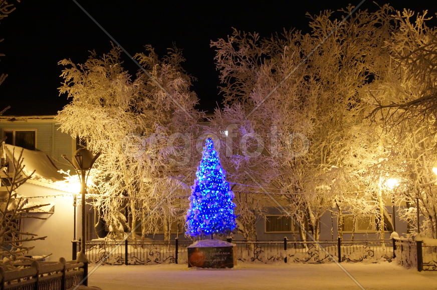 Приполярная новогодняя ночь 31-01/ 15-16 г.г. Купить