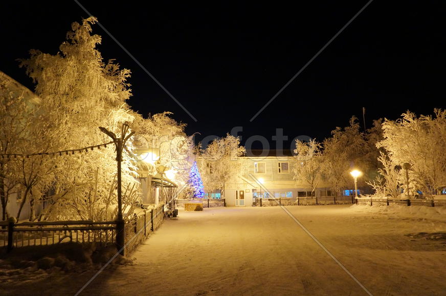 Приполярная новогодняя ночь 31-01/ 15-16 г.г. Купить