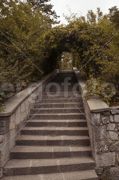 Лестница в Воронцовском парке