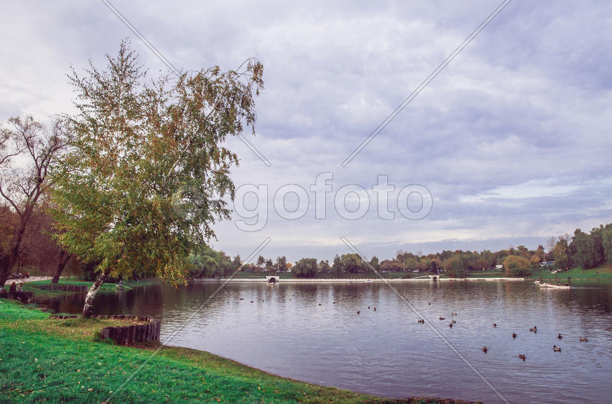 Царицынские пруды