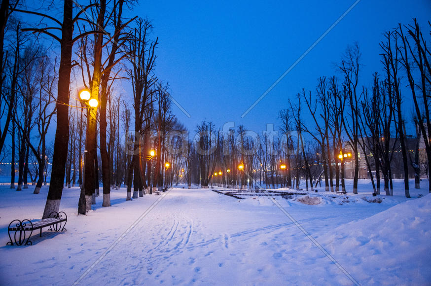 Парк в Твери