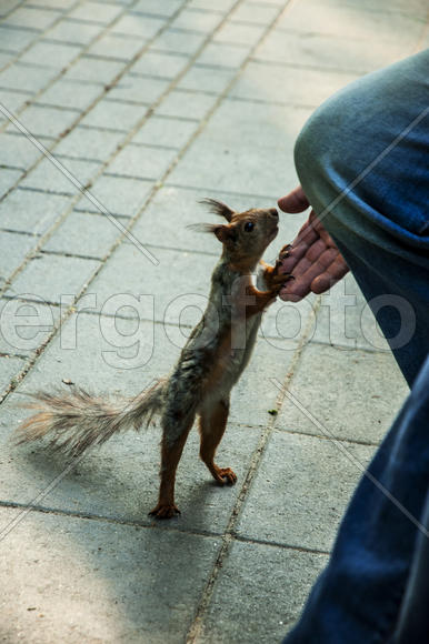 Знакомство