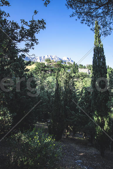 Вид на Ай-Петри