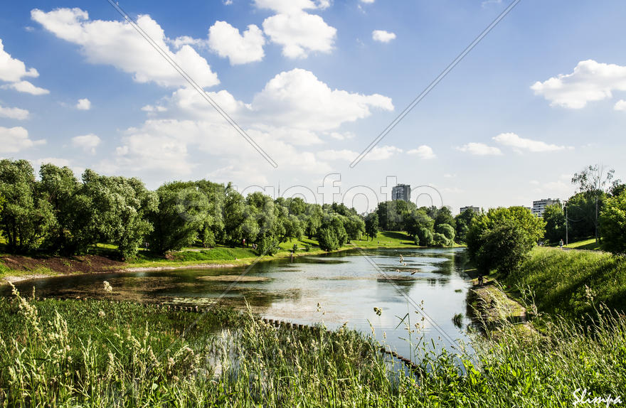 Озеро в парке