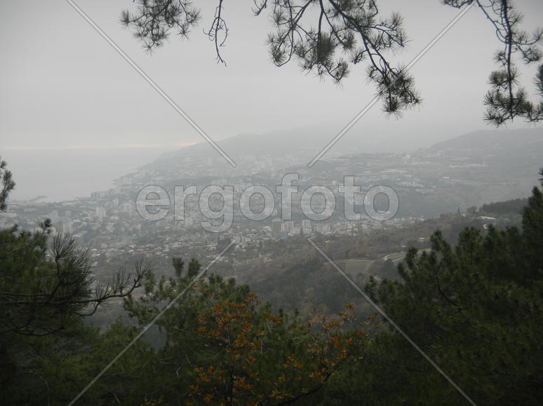 КУрортный туман