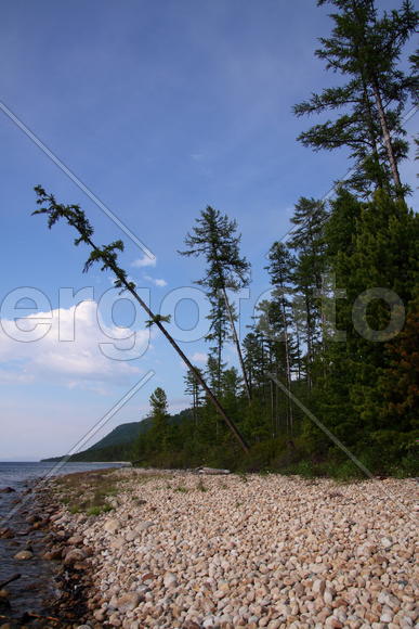 Байкальский берег