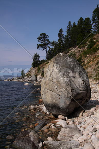 Яйцо динозавра