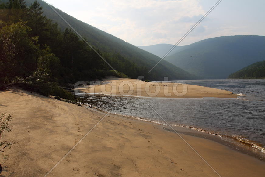 Сибирская Акуна Матата