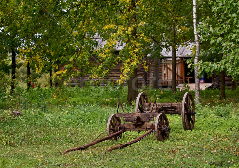 Осень в Витославлицах.