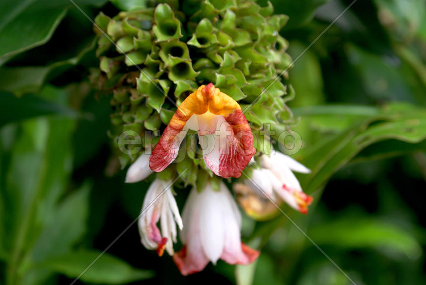 Быстротечно...