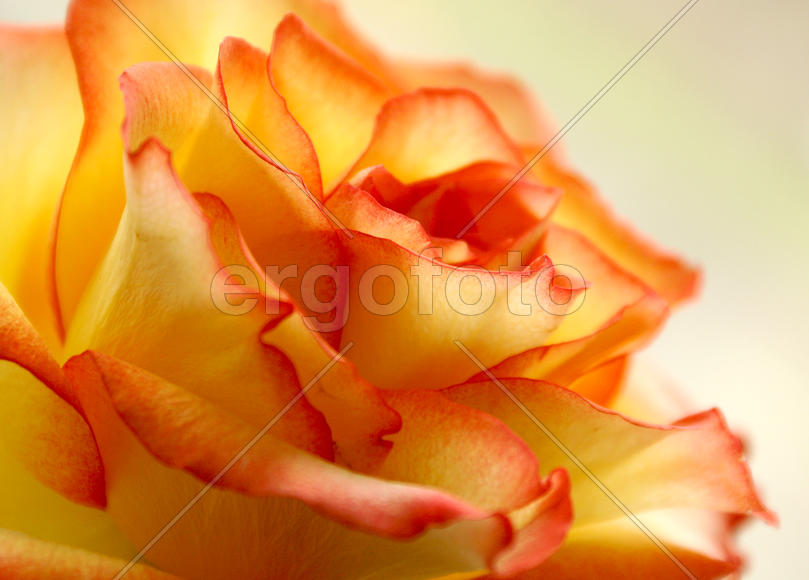 Осеннее настроение