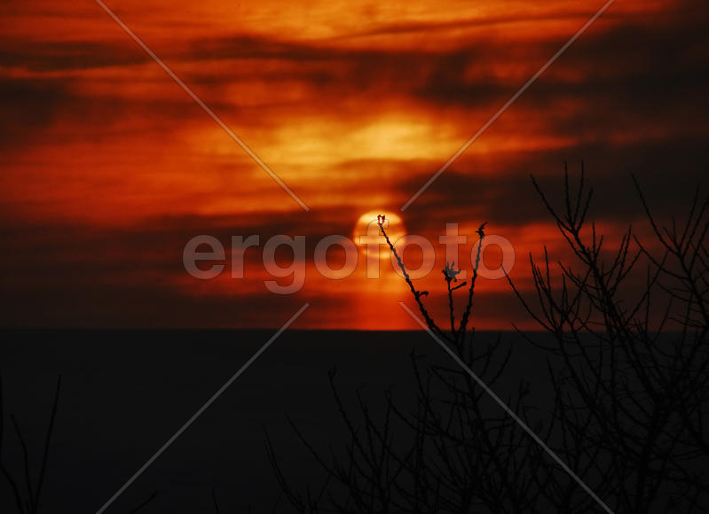 Мороз и солнце