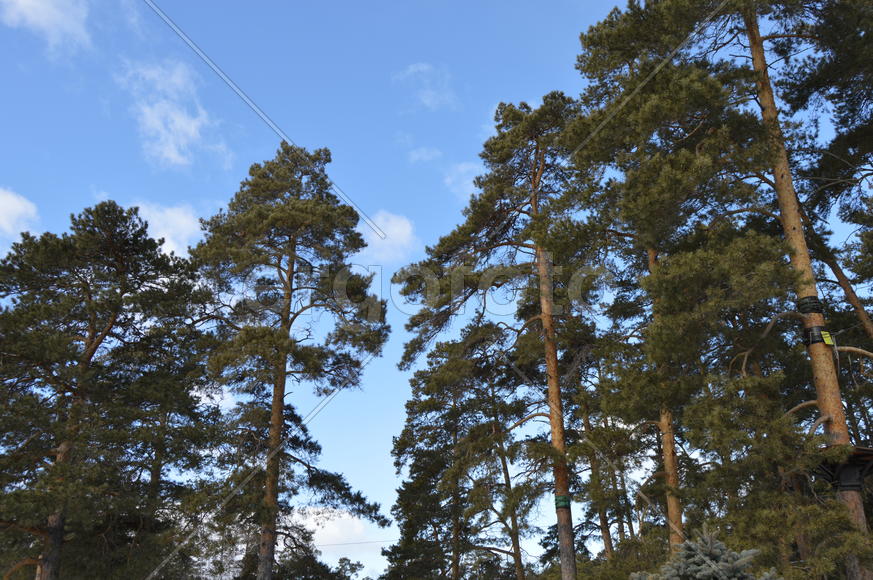 Парк Гагарина