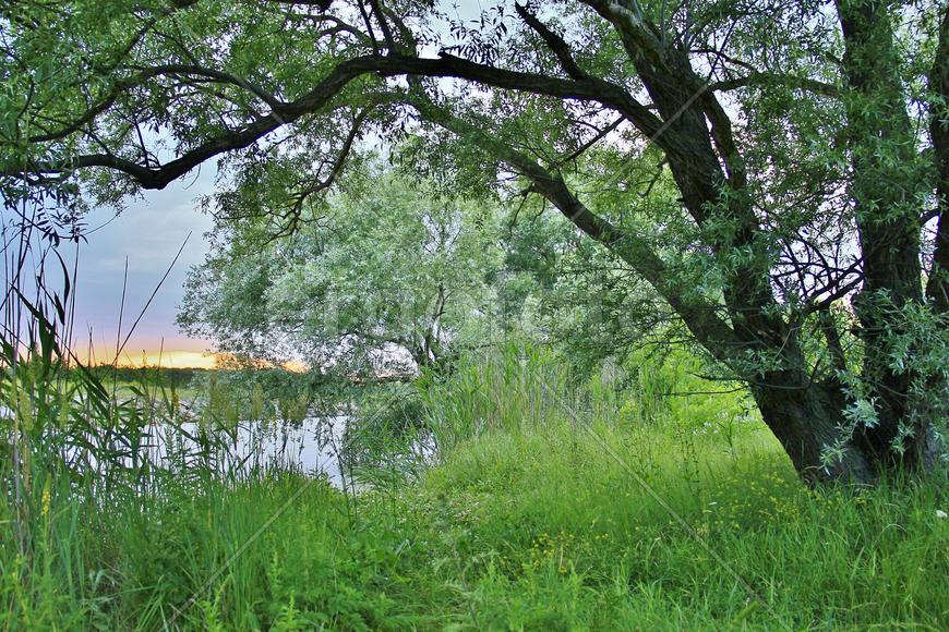 Где-то на Волге