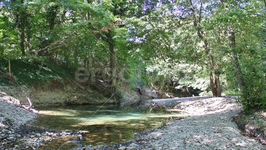 Краснодарский край. Ручей в районе Архипо-Осиповки