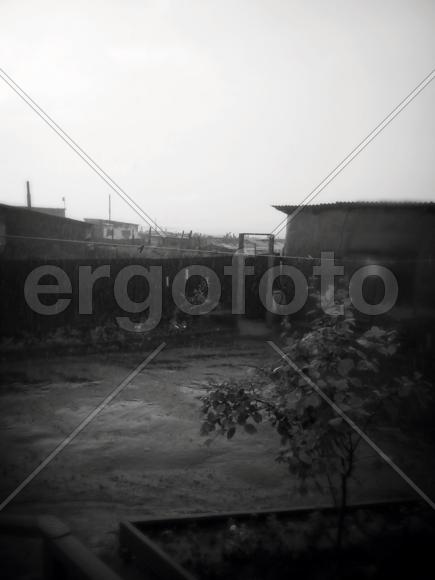 Дождливый день