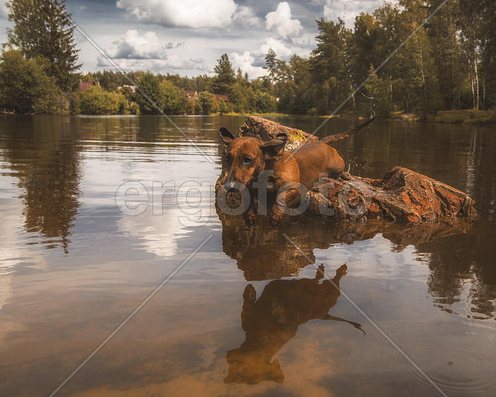 А мне летааать охота...