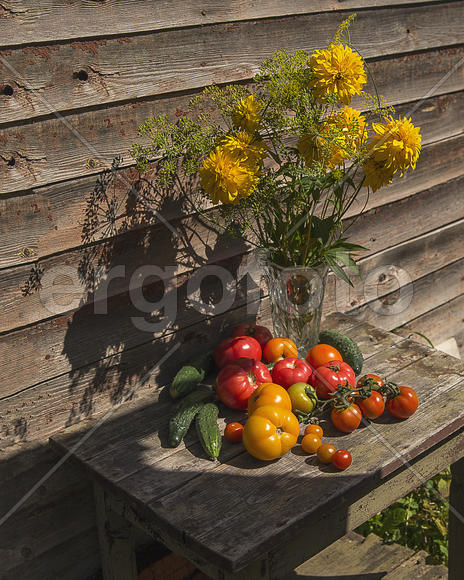 Урожай томатов