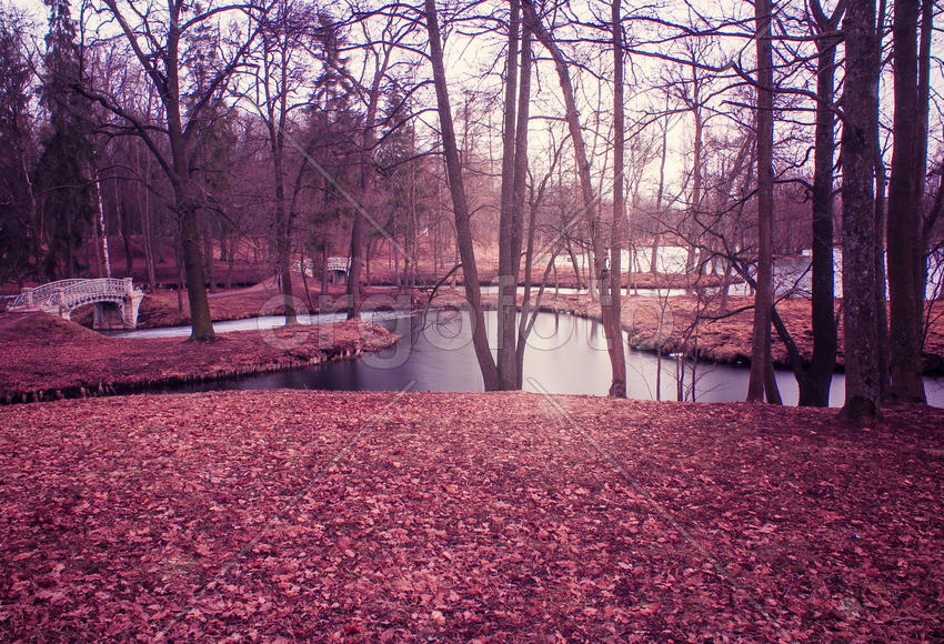 Пейзаж осеннего парка 