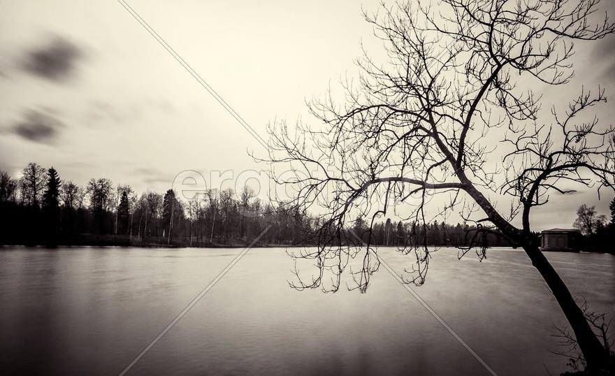 Пейзаж спокойствия водной глади 