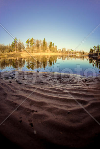 Пейзаж на берегу водоема 