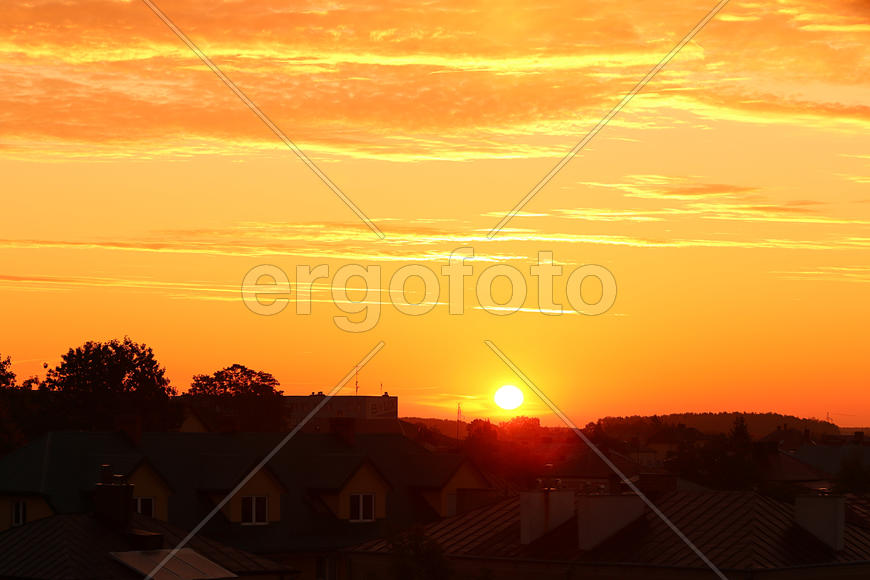 Черные силуэты деревьев на фоне заката 
