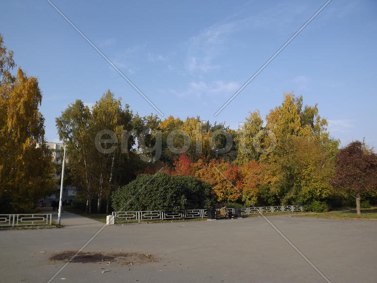 Парк "Зелёная Роща",аллея к Дворцу спорта