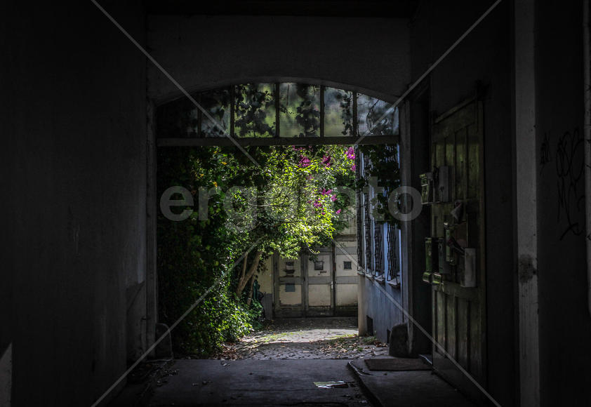 Свет в конце коридора