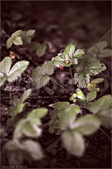 одиночество