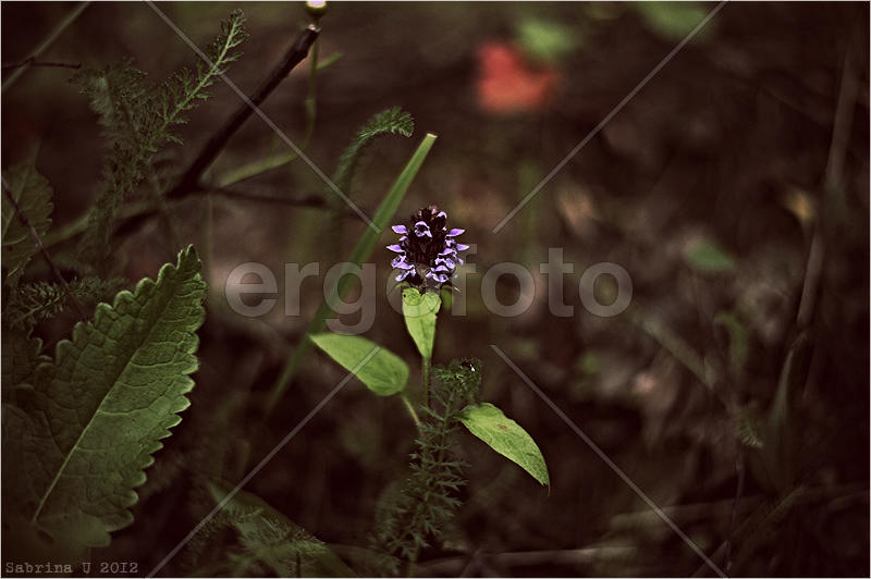 одиночество