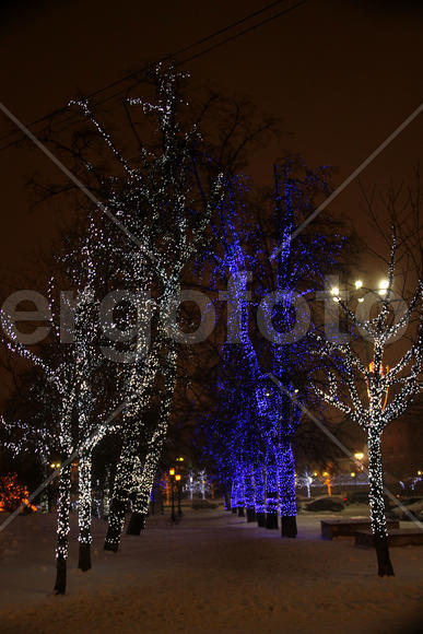 Новогодняя иллюминация и деревья