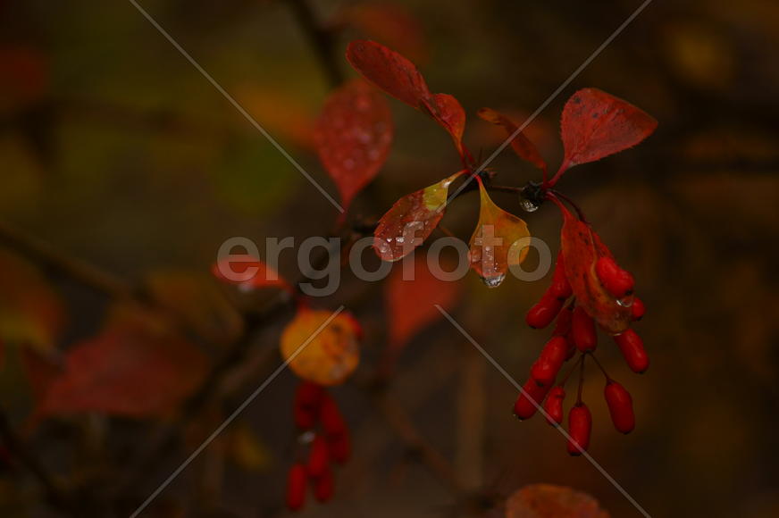 Дождь прошёл