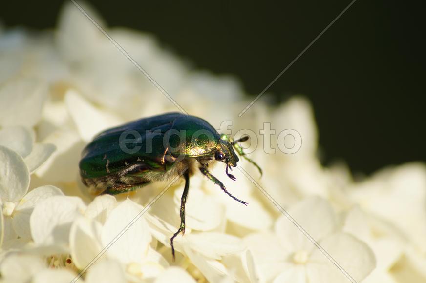 Бронзовка идёт на дело