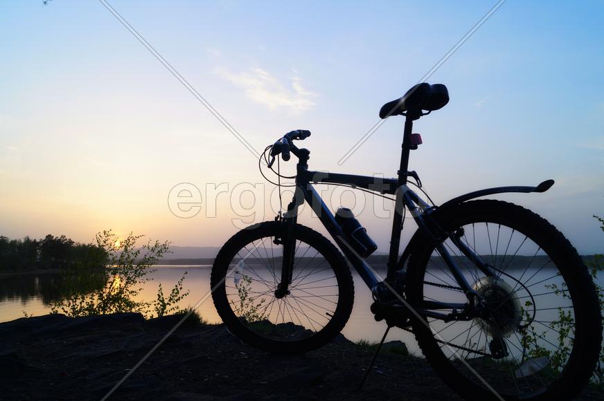 Железный конь