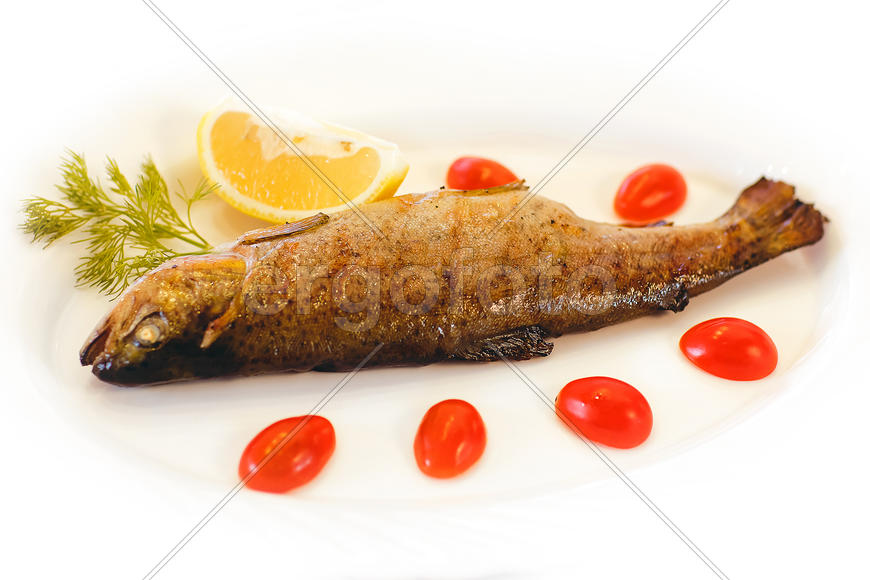 Радужная форель