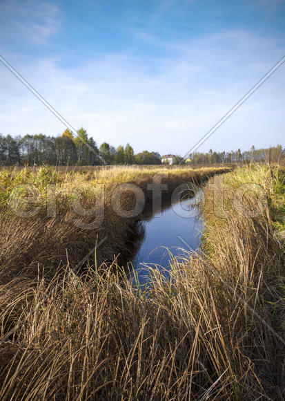 Беларусь: осенняя природа болотистого края