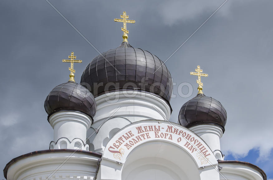 Беларусь, Барановичи: купола собора св. Жен Мироносиц.