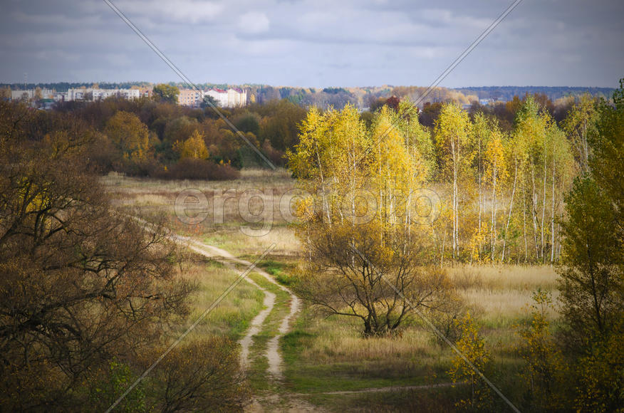 Пейзаж золотой осени