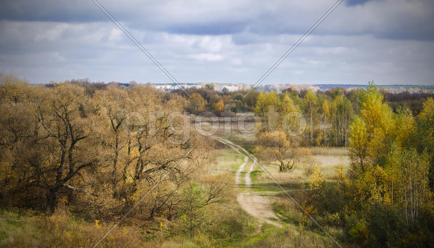 Золотая осень. Пейзаж. Осенний лес. Борисов. Беларусь