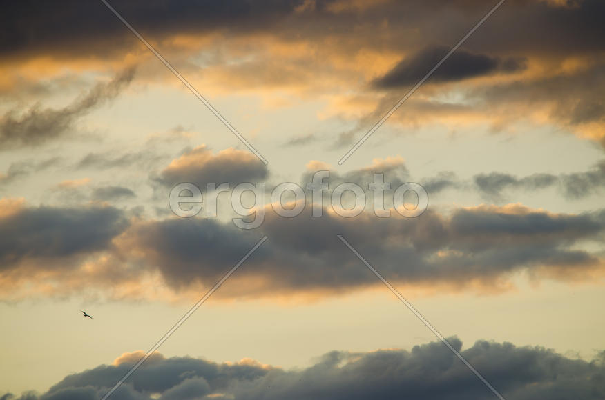 Беларусь: вечернее небо