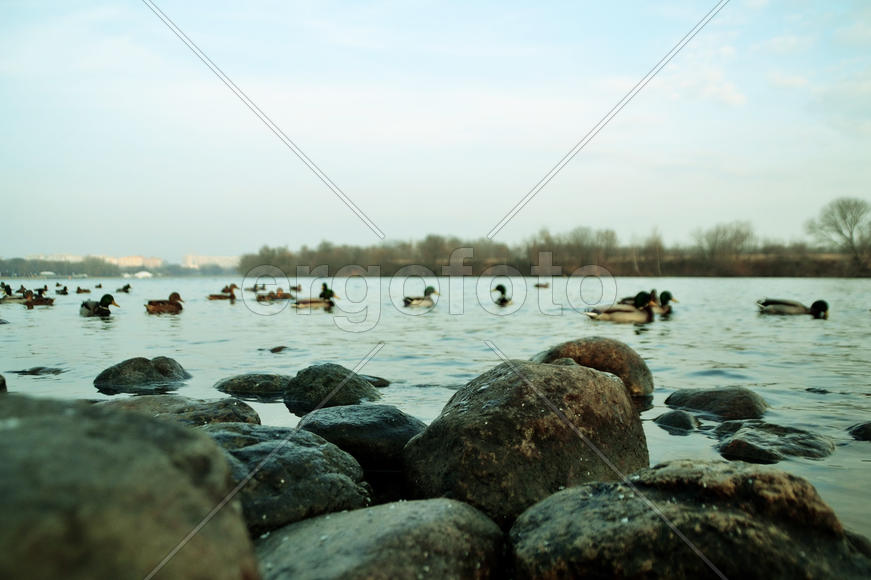 Москва-река