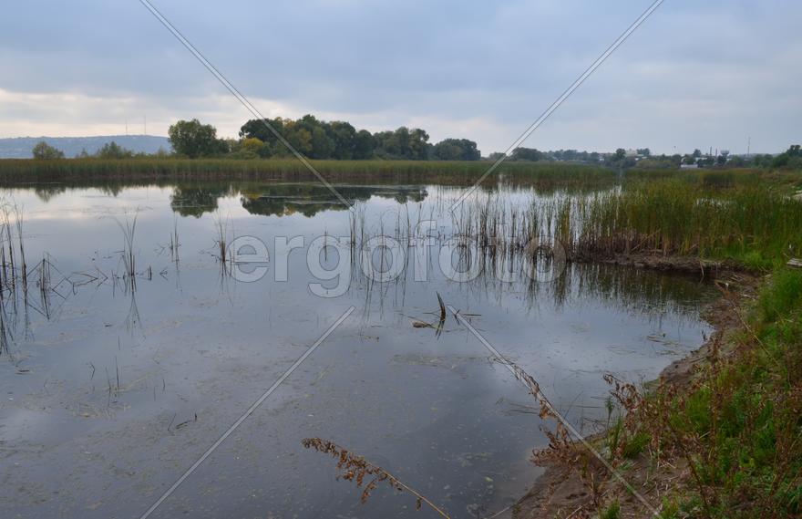 Озеро с деревьями на горизонте 