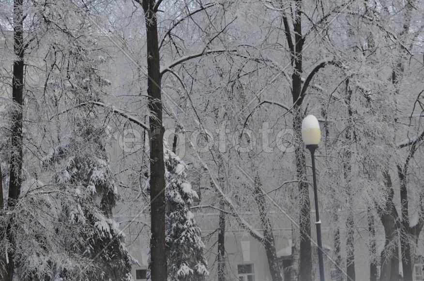 Университетский дворик